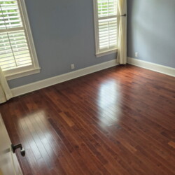 Empty room with light blue walls, hardwood floors, two windows with white shutters, and cream curtains.
